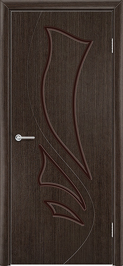 Модель дверей.