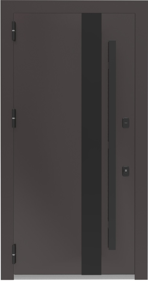 Входная дверь СД-38 Ral 8019, глухая