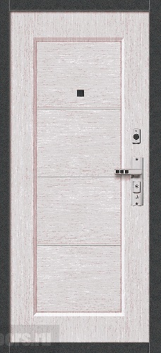 Модель дверей.