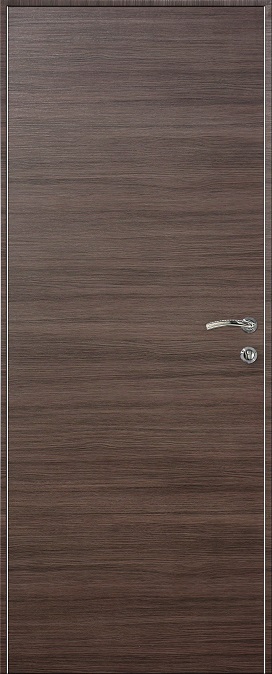 Модель дверей.