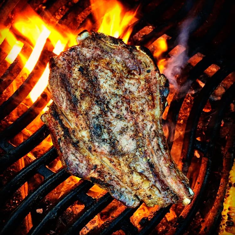 Гриль угольный Napoleon PRO-605 