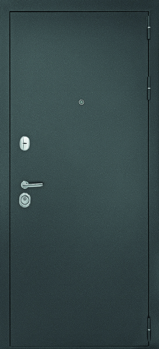 Входная дверь Рубикон 1 Серебро