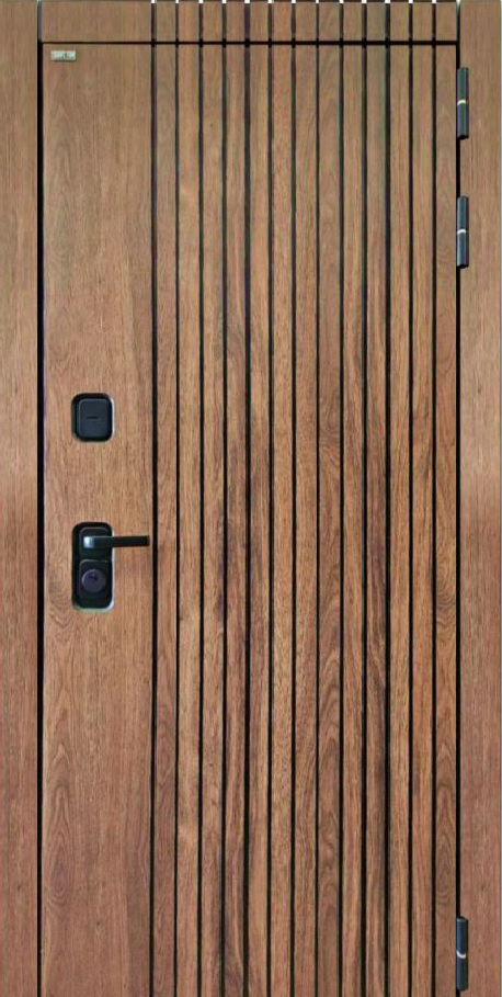 Модель дверей.